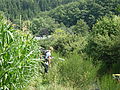 20080728_152250_jl_Afbeelding_159.jpg