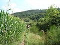 20080728_152256_jl_Afbeelding_160.jpg