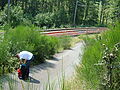 20080728_152343_jl_Afbeelding_162.jpg